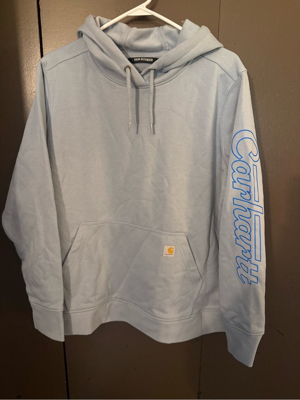 Carhartt Light Blue Pullover Hoodie with Blue Sleeve Script